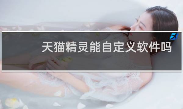 天猫精灵能自定义软件吗