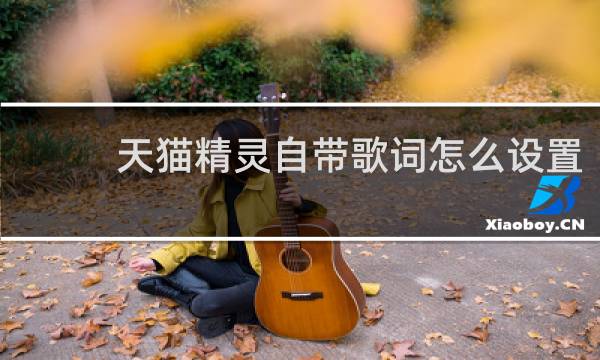 天猫精灵自带歌词怎么设置