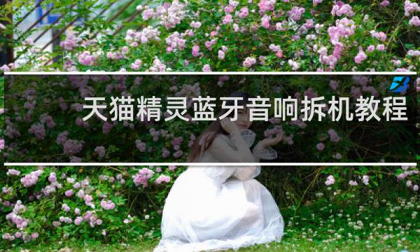 天猫精灵蓝牙音响拆机教程