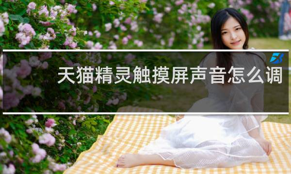 天猫精灵触摸屏声音怎么调