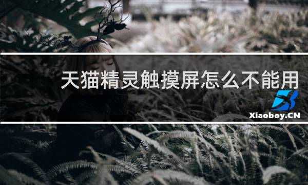 天猫精灵触摸屏怎么不能用