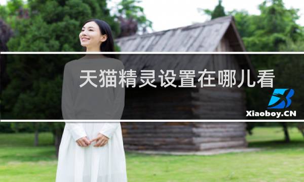 天猫精灵设置在哪儿看