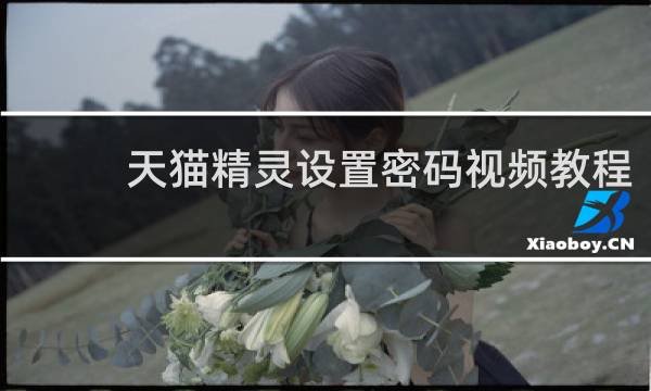 天猫精灵设置密码视频教程