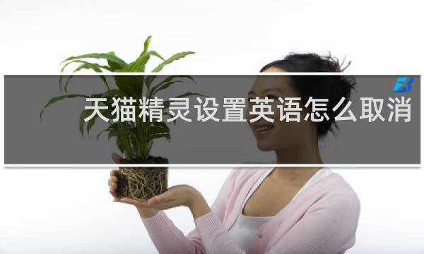 天猫精灵设置英语怎么取消