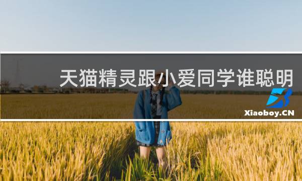天猫精灵跟小爱同学谁聪明