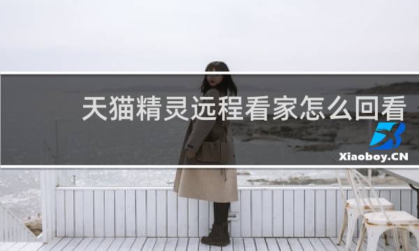 天猫精灵远程看家怎么回看
