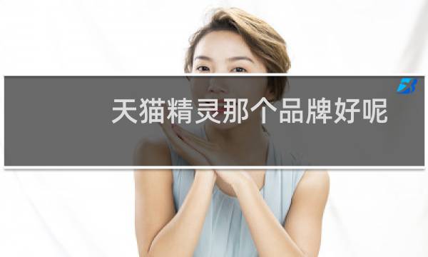 天猫精灵那个品牌好呢