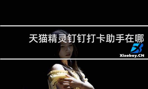 天猫精灵钉钉打卡助手在哪
