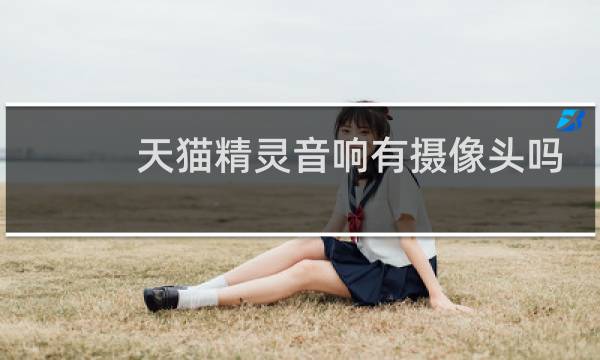 天猫精灵音响有摄像头吗
