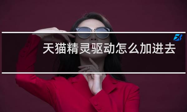 天猫精灵驱动怎么加进去