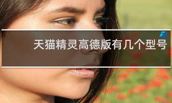 天貓精靈高德版有幾個型號