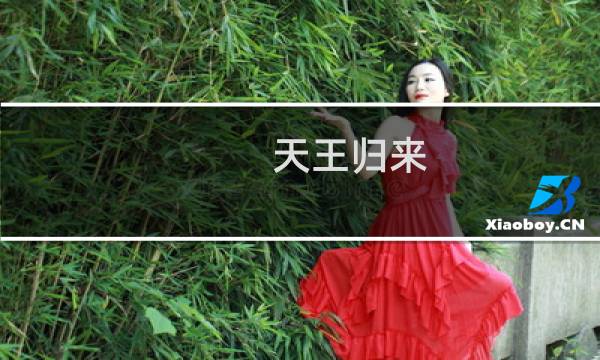 天王归来 攻略