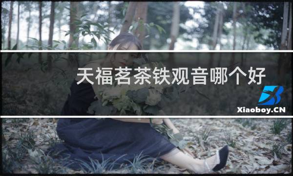 天福茗茶铁观音哪个好