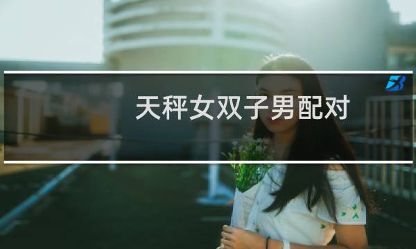 天秤女双子男配对