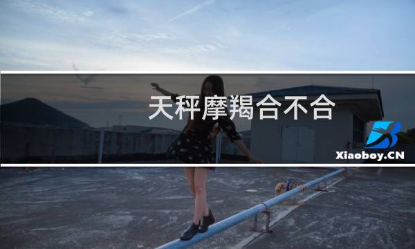 天秤摩羯合不合