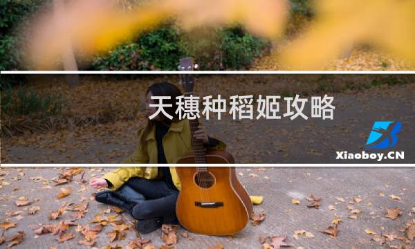 天穗种稻姬攻略