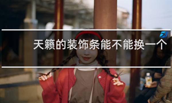 天籁的装饰条能不能换一个