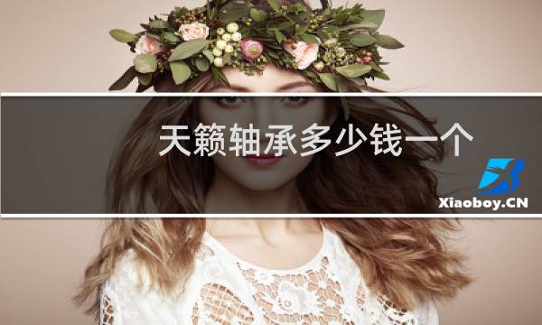 天籁轴承多少钱一个