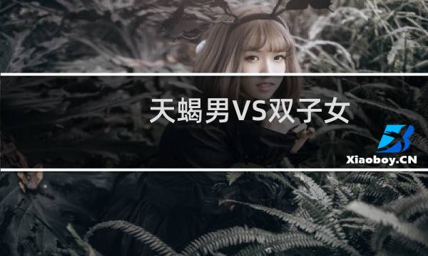 天蝎男VS双子女