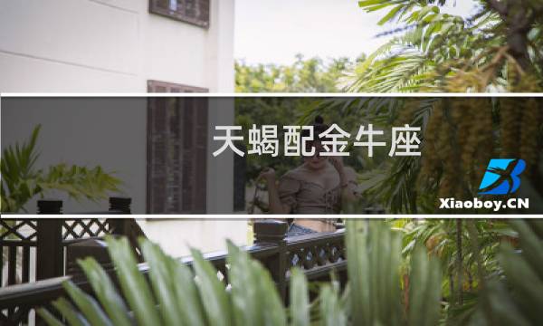 天蝎配金牛座