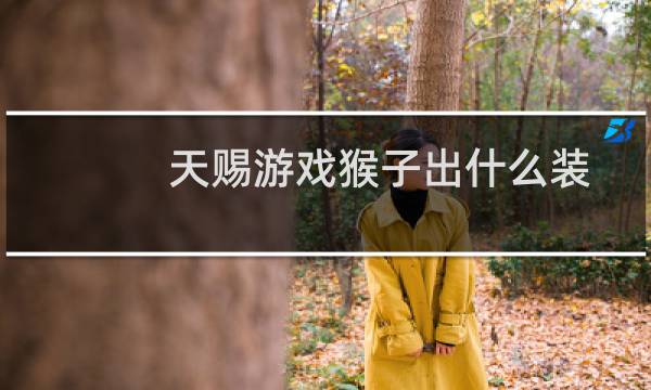 天赐游戏猴子出什么装