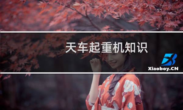 天车起重机知识