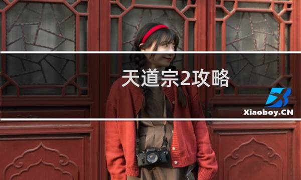 天道宗2攻略