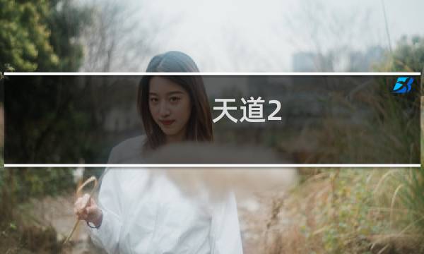 天道2 1.41攻略
