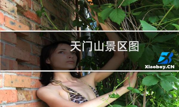 天门山景区图