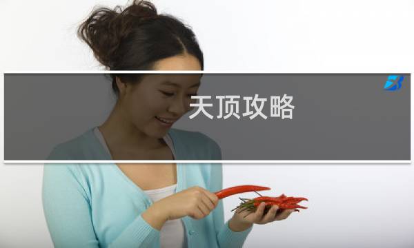 天顶攻略