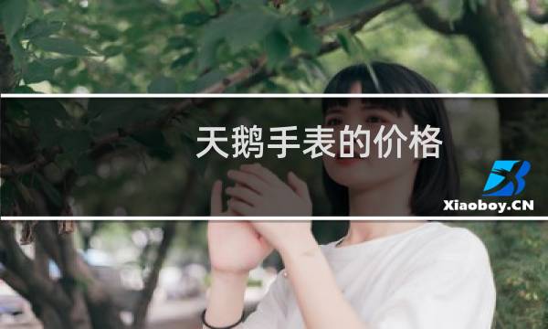 天鹅手表的价格
