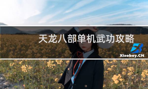天龙八部单机武功攻略
