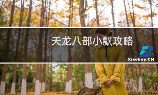 天龙八部小飘攻略