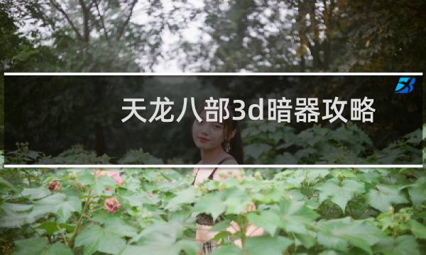 天龙八部3d暗器攻略