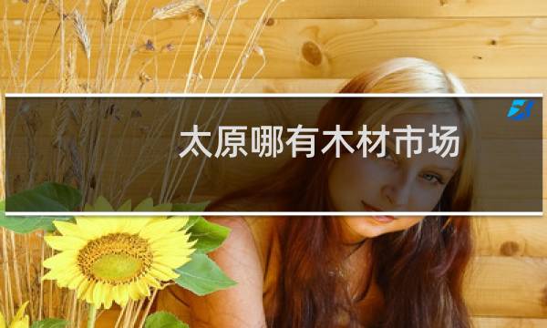 太原哪有木材市场