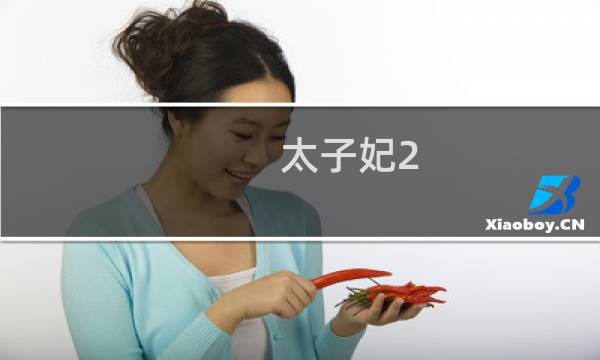 太子妃2 攻略