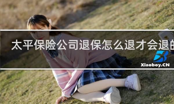 太平保险公司退保怎么退才会退的多