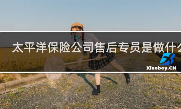 太平洋保险公司售后专员是做什么的