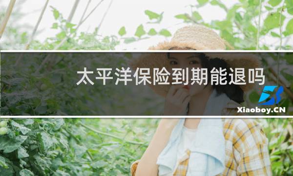 太平洋保险到期能退吗