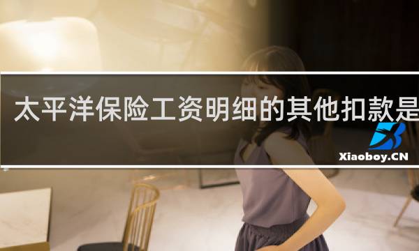 太平洋保险工资明细的其他扣款是什么