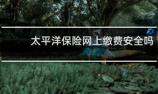 太平洋保险网上缴费安全吗