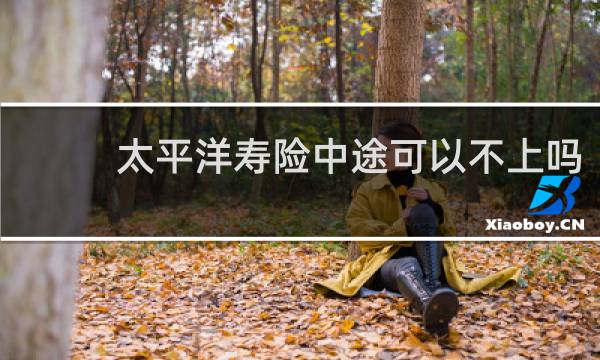 太平洋寿险中途可以不上吗