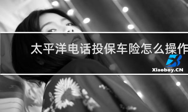 太平洋电话投保车险怎么操作