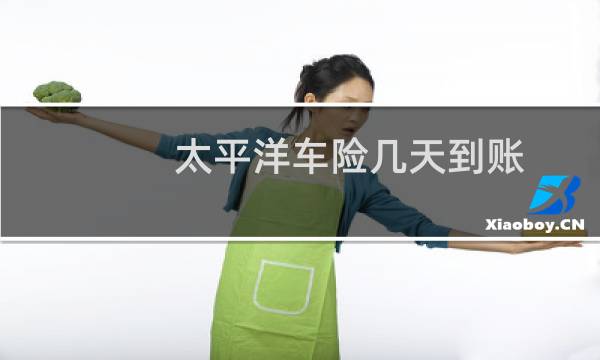 太平洋车险几天到账