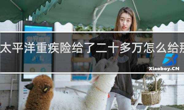 太平洋重疾险给了二十多万怎么给那么多
