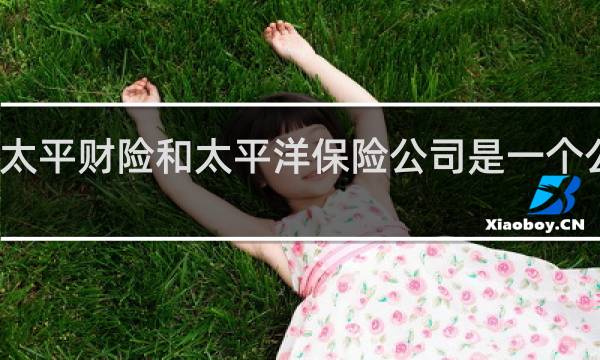 太平财险和太平洋保险公司是一个公司吗