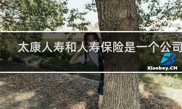 太康人寿和人寿保险是一个公司吗