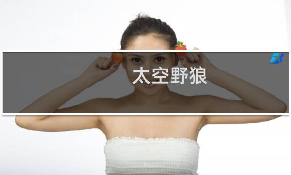 太空野狼 攻略