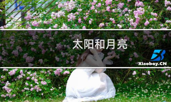 太阳和月亮
