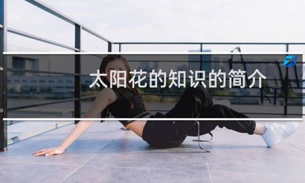 太阳花的知识的简介